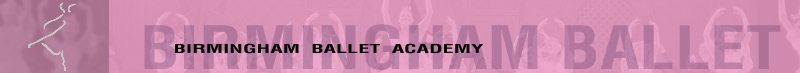 web banner academy.jpg